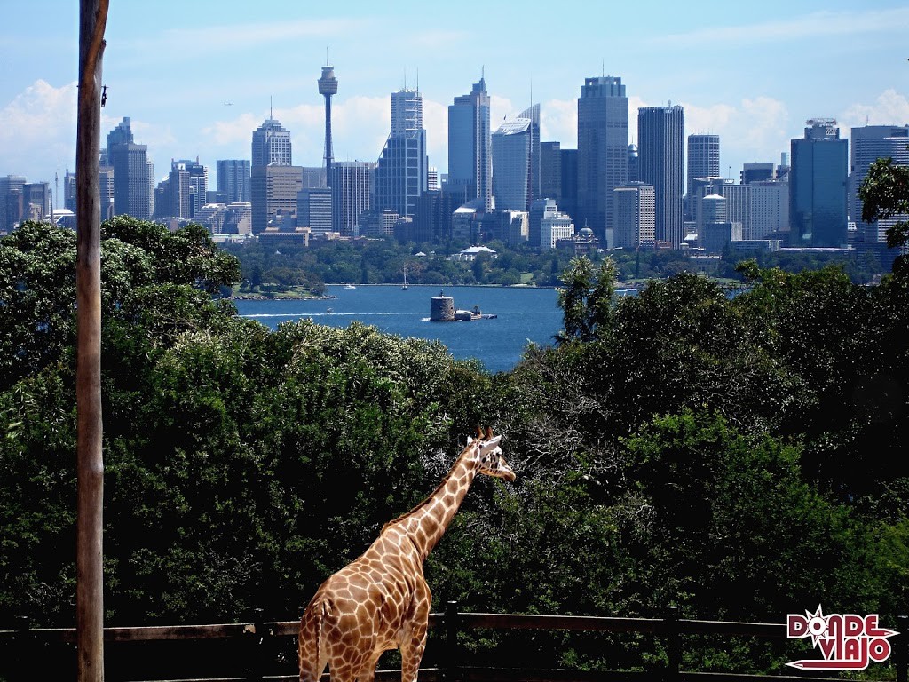 Zoológico de Taronga