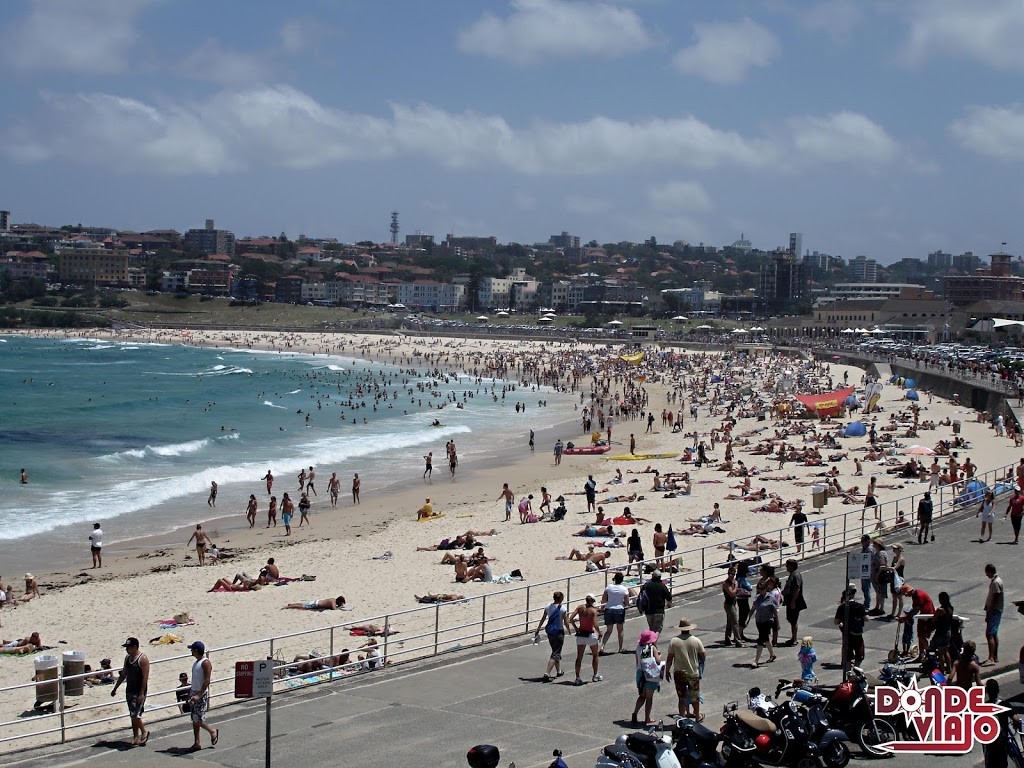 Bondi Beach