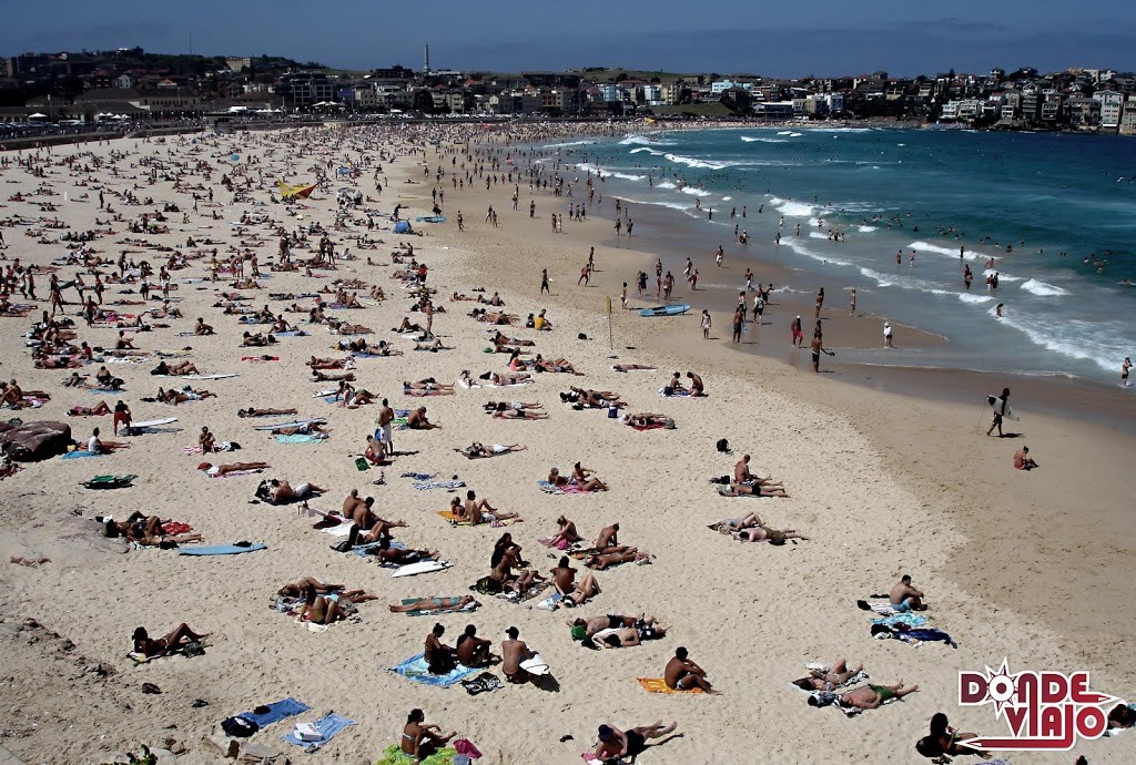 Bondi Beach, apta para el surf