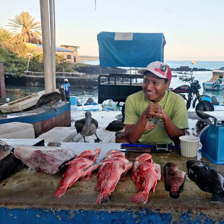 Lee más sobre el artículo Santa Cruz, la mayor de Galápagos